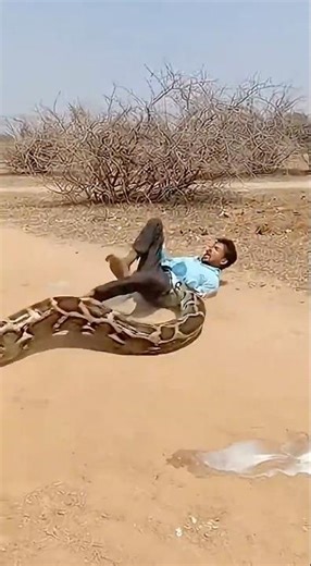 Man Feeding Milk to Giant Python — Seconds Later This Happens