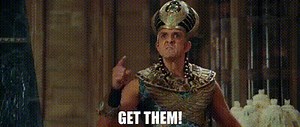 Get them!