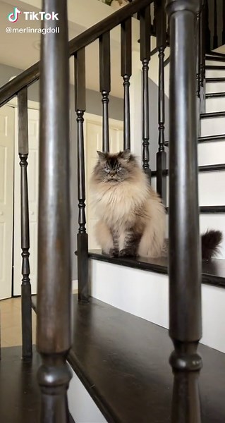 Hello Clarice. I mean Merlin.