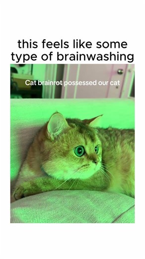 this feels like some type of brainwashing