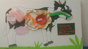 Sistema digestivo de la vaca: un proceso fascinante