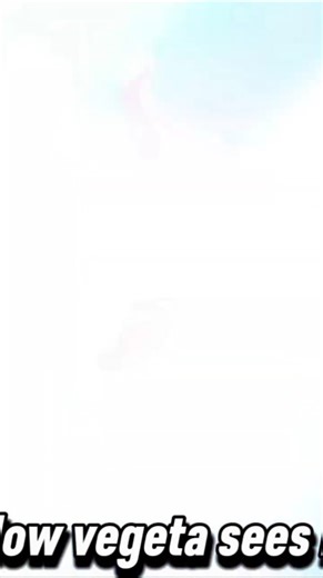How vegeta sees the fushion dance