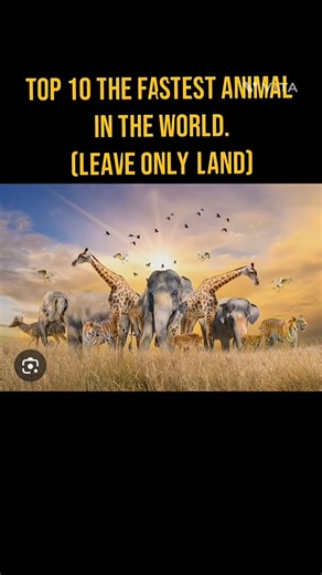 top 10 the fastest animal in the world (live only land)