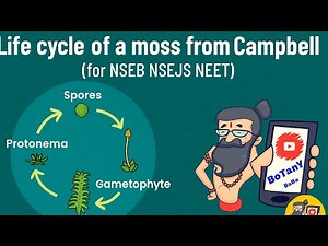 Life cycle of Moss. Bryophytes. INBO NSEB NSEJS NEET. CAMPBELL BIOLOGY.