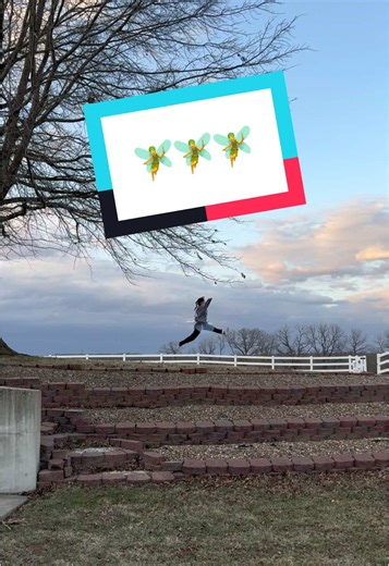 🧚✨ #vetmed #vetmedhumor #veterinarymedicine #veterinarian #vettech #veterinariansoftiktok #vettechlife #vettechhumor #fyp