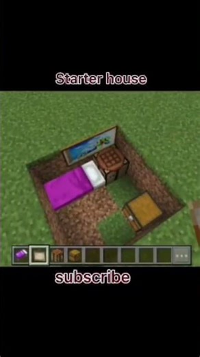 5 Minute Minecraft Starter House ⚡ #minecraftshorts