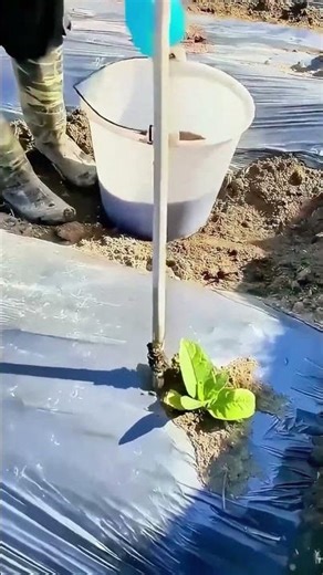 New Farm Fertilization Tool!