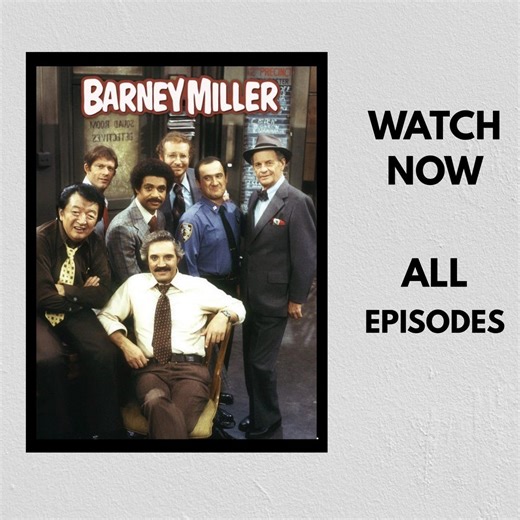Barney Miller (1975) – Complete Series – Digital Collection – Classic TV Comedy - Etsy