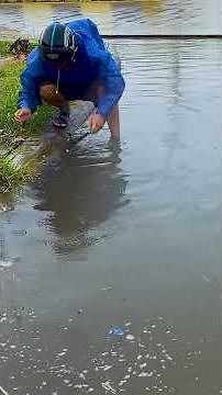 Drainage Breakdown Why Streets Flood and How to Fix It