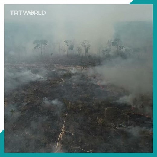 Amazon deforestation in Brazil hits 'highest levels'