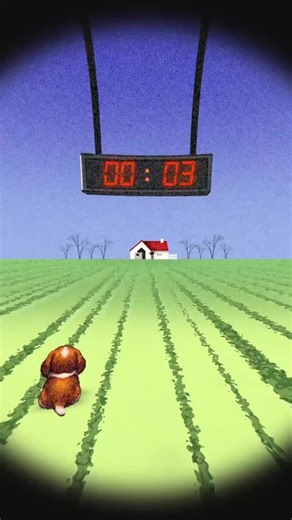 400,000 Steps In: The Countdown to the Mystery House