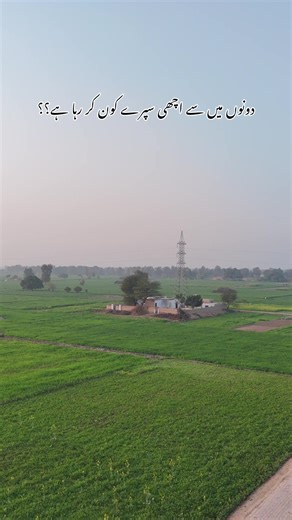 Agriculture Spray Comparison: Which is Better?