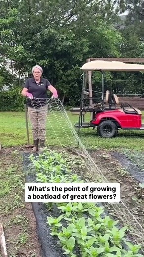 I sold over 10,000 stems of cut flowers a week for years