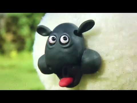 Sheeps Screaming￼ at￼ Applejack’s Butt