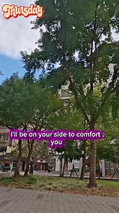 #reelsvideoシ #highlighteveryone #reelsviralシfb #LikeFollowShare | Flordeliza San.NIcolas Robino