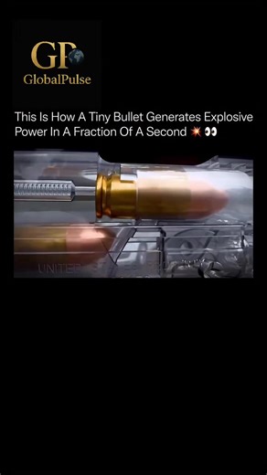 Most people have zero idea what actually happens inside a bullet the moment it fires ⚡️🔬 What looks like a simple metal capsule is actually a miniature engineering system built with extreme precision to release controlled power in milliseconds. Inside every round is a primer, a tiny metal cup holding an impact-sensitive compound. When struck, it creates a fast spark that ignites the powder charge packed behind the projectile. As the powder burns, it releases high-pressure gas that builds up so 