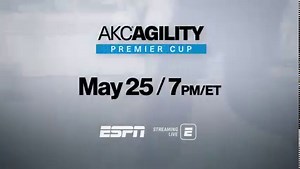 265 reactions · 27 shares | Cheer on all-star agility dogs as they jump, sprint and weave for top honors at the AKC Agility Premier Cup only on ESPN! Tune in May 25th at 7 PM (EST). | American Kennel Club | Facebook