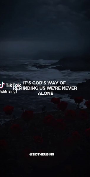 Love is the purest form of connection❤️ #sid #sidquotes #sidmotivation #motivationbysid #sidtherising #sidtheslothh #iceage