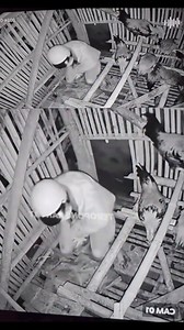 Matindi pa sa sawa si tiyo | Tiyo AmuskoL tv