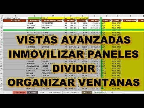 VISTAS AVANZADAS EN EXCEL