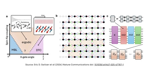 First 2D discrete time crystal on a quantum computer | Donostia International Physics Center (DIPC)