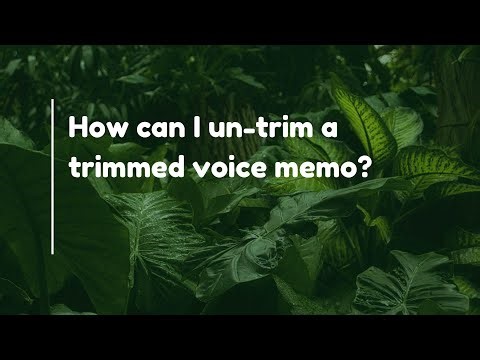 How can I un-trim a trimmed voice memo?