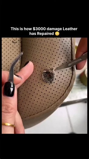 Jhanvi on Instagram: "This isn't just infrastructure - it's one of the greatest engineering feats on Earth.🌊 The Netherlands, a country where much of the land lies below sea level, turned survival into innovation. Through an incredible system of storm surge barriers, dikes, and canals, the Dutch transformed a constant threat into a symbol of strength and smart engineering.💪 Even as sea levels rise, these systems keep entire regions dry - proof that human genius can outsmart nature.🌍🎥 Via: (A