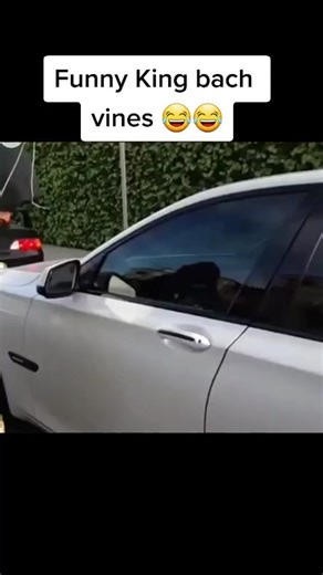 King Bach funny vines😂😂#fypシ゚ #fypシ゚viral #foryoupage #vines #kingbach #kingbachvine