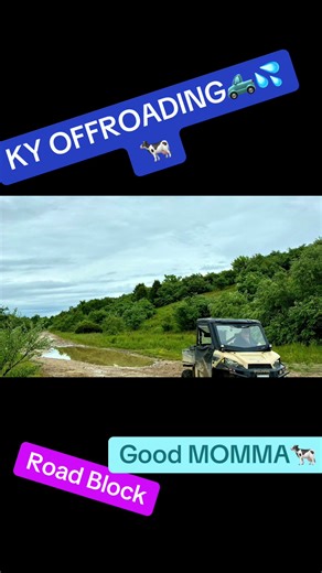 Hanging with the Hyatt’s (@hangingwiththehyatts)’s videos with original sound - Hanging with the Hyatt’s