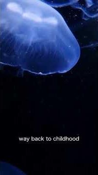 Top 5 Animals That Are Biologically Immortal