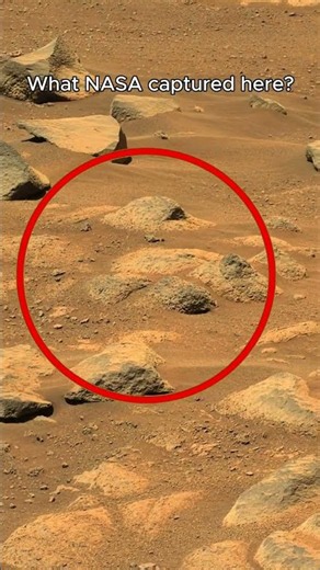 78 Sols In... NASA Finds THIS on Mars