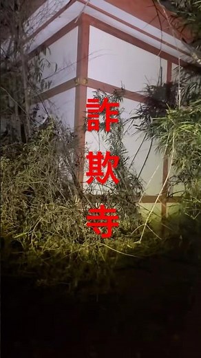 恐怖とMAX逃げ出した心霊#ハルリンク#心霊配信#インフィニティ#てぃっくとっかー