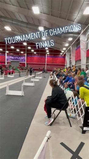 Flyball Tournament of Champions: Dogs in Action