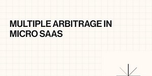 🏴‍☠️ ⚡️ Issue #20 - Multiple Arbitrage in Micro SaaS (Musings)