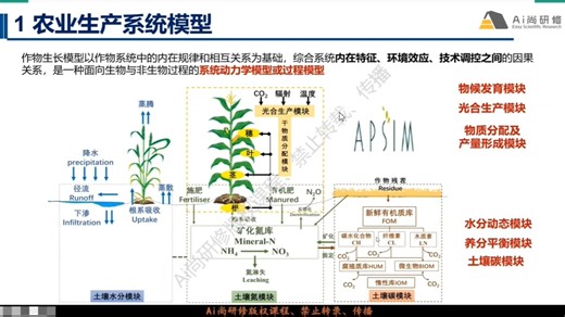基于R语言APSIM模型进阶应用与参数优化、批量模拟实践技术