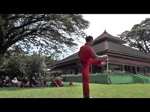 Beladiri Terbaik Di Dunia: Thifan Pokhan Tsufuk | Best World Martial Arts