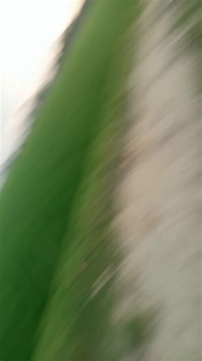 আমার চেহারা কালা #ভিডিওটা_ভাইরাল_করো #ফরইউতে_দেখতে_চাই #mdfoyejahmedofficial @Sabrin_Sultana_1 @MD Moksud Ali ★$$$★ @MS SOHEL🇧🇩🇸🇦