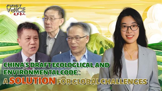 China's draft Ecological and Environmental Code: a solution for global challenges