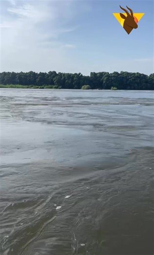 🌊 “The Nile River is a blessing to the Nilotics — giving life, cattle, Fish and culture. 🐄✨ #NileRiver #NiloticPride #SouthSudan #BlessingsOfTheNile #TiangSafaris #AfricanHeritage | Tiang safaris