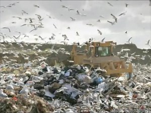 Long before the plastic ban was gazetted by the Ministry of Environment and Natural Resources, Professor Wangari Maathai had already envisioned the need of banning single-use plastic bags in Kenya by promoting Mottainai which focuses on reducing, reusing and recycling plastics. With the ban now in effect, the Green Belt Movement is advocating for alternatives which will create an opportunity to unlock the innovative potential of Kenyans who will be exploring different substitutes to these plasti