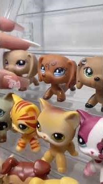 Organizing my LPS #lps #foryou #littlestpetshop