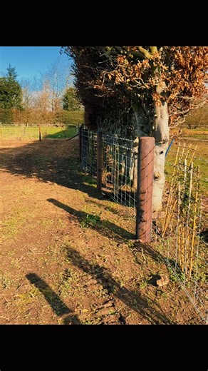 Quick Monday job before we start the next big project 😍 octopost of course 🪵 big shout out to @Dickson Timber for being patient and holding stock for us while we’ve been held up massively on our last job. Summer is looking promising for Agri-Guard Fencing 🎉 #stockfence #motivation #agriculture #equestrian #rurallife