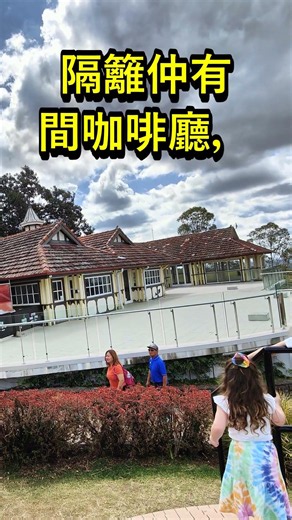 布里斯本必去景點！Mount Coot-tha 觀景台睇靚景歎咖啡 #Shorts