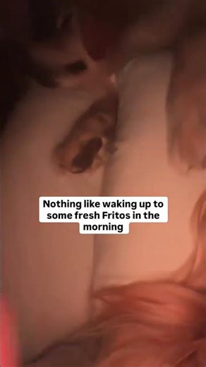 Frito feet alarm clock🐾I love my hatchforsleep, but this guy works as a fabulous understudy