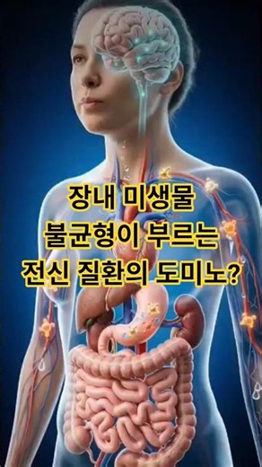 간 기능 저하의 숨은 원인 장내세균 불균형, 간 기능 회복의 열쇠 전신 회복 솔루션​ 복합유익균과 식이균형식으로 바로잡다.