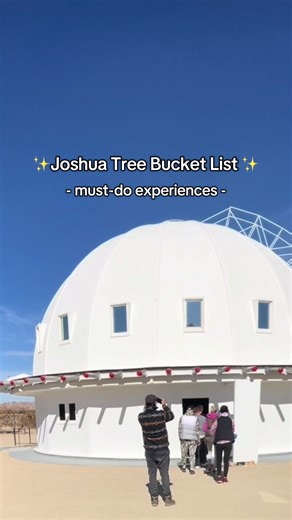 Joshua Tree Bucket List: Top Experiences You Must Try