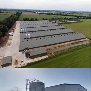 [Hot Item] Prefab Steel Structure Animal Poultry Shed Chicken Farming House Building