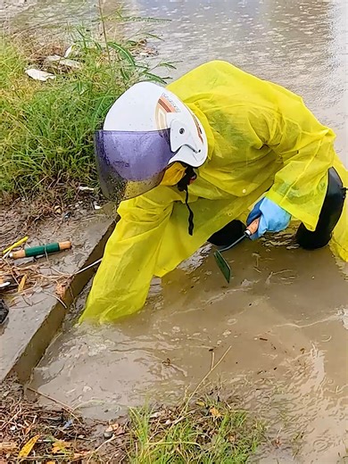 How Clearing a Culvert Restored City Flow