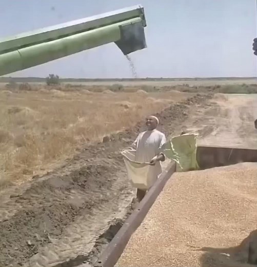 Traditional Farming Practices in Rural Agriculture