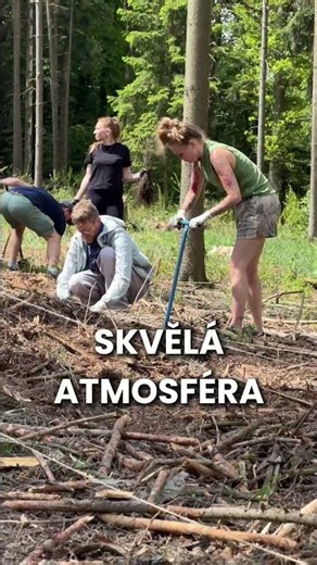 Vánoce jsou za 197 dní a tvůj teambuilding asi za 100 dní.🌳